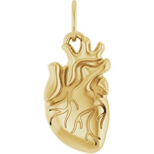 14K Yellow Anatomical Heart Pendant  88771:103:P
