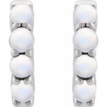 Platinum Natural Rainbow Moonstone Cabochon 14.7 mm  Hoop Earrings 87181:213:P