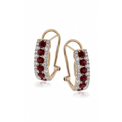 Zeghani Earrings Ze407