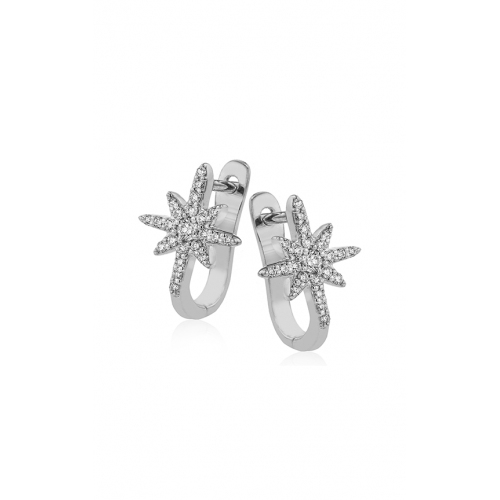 Zeghani Earrings Ze714