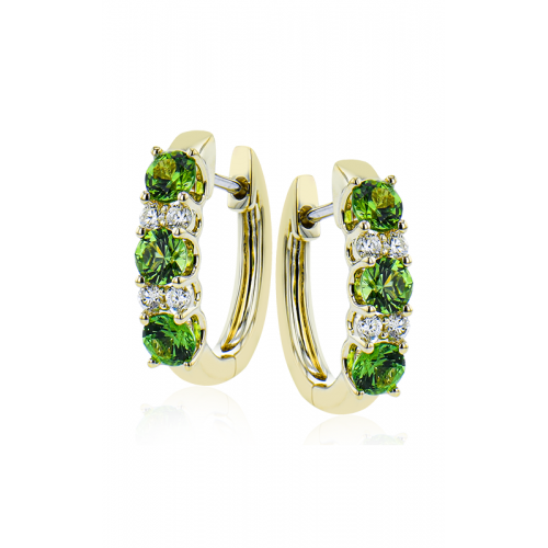 Zeghani Earrings Ze728-y