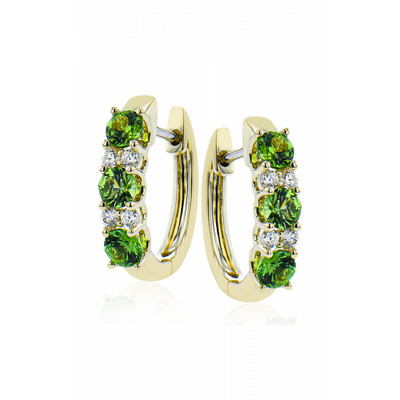 Zeghani Earrings Ze728-y