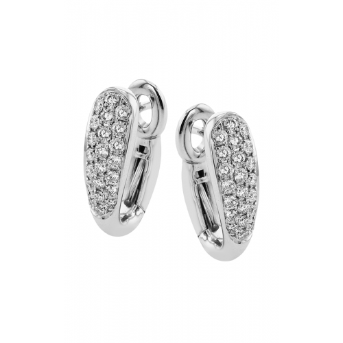 Zeghani Earrings Ze856