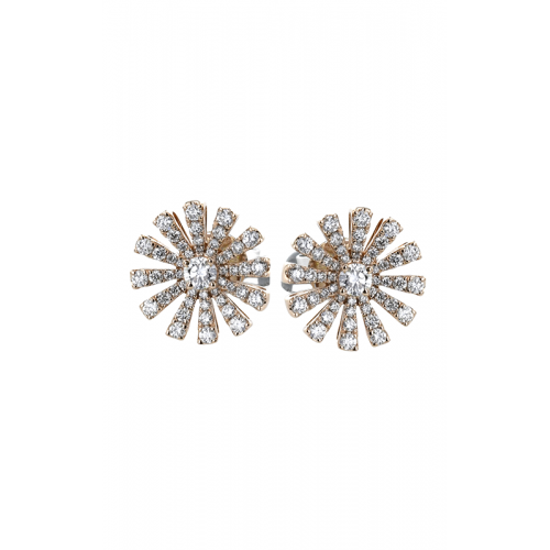 Zeghani Earrings Ze861