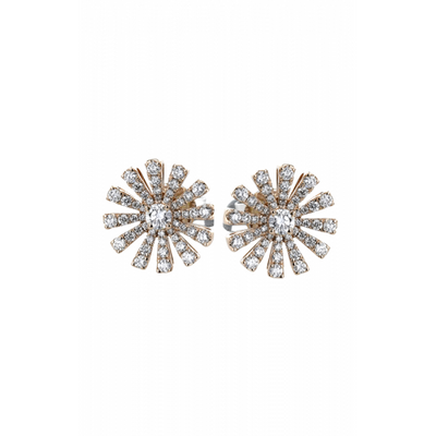 Zeghani Earrings Ze861