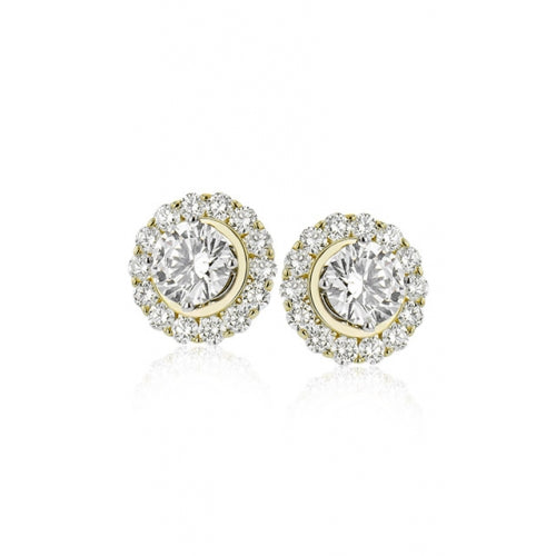 Zeghani Earrings Ze843