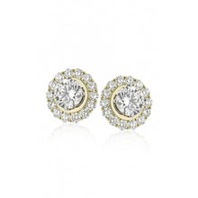 Zeghani Earrings Ze843