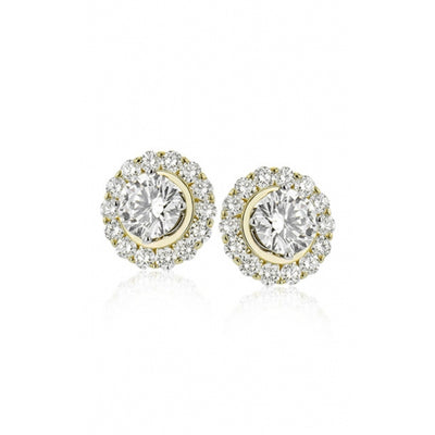 Zeghani Earrings Ze843