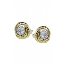 Zeghani Earrings Ze849