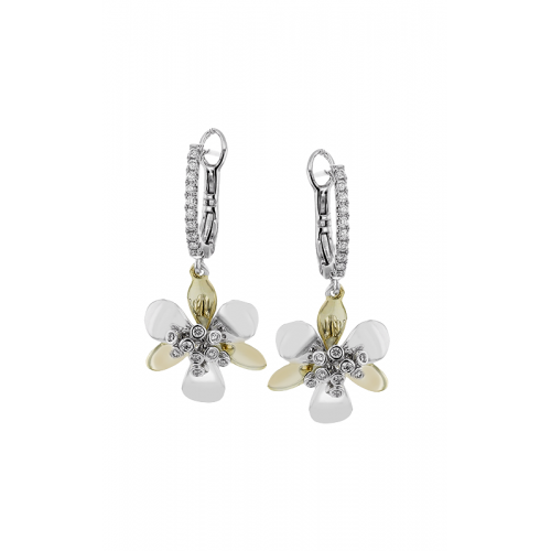 Zeghani Earrings Ze847