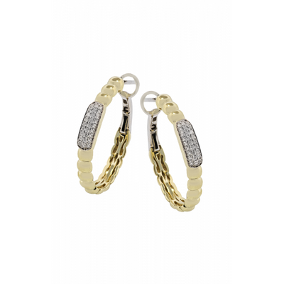 Zeghani Earrings Ze866