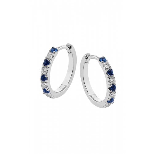 Zeghani Precious Stone Earrings Ze877