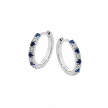 Zeghani Precious Stone Earrings Ze877