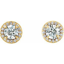14K Yellow 3/4 CTW Natural Diamond Halo-Style Earrings 86458:715:P