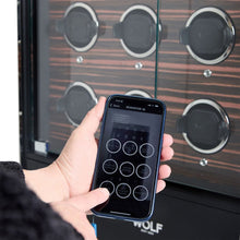 Wolf Roadster 16 Piece Watch Winder Cabinet 478756