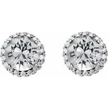 Platinum 1/4 CTW Natural Diamond Earrings 86509:683:P