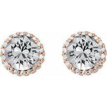 14K Rose 1/4 CTW Natural Diamond Earrings 86509:682:P
