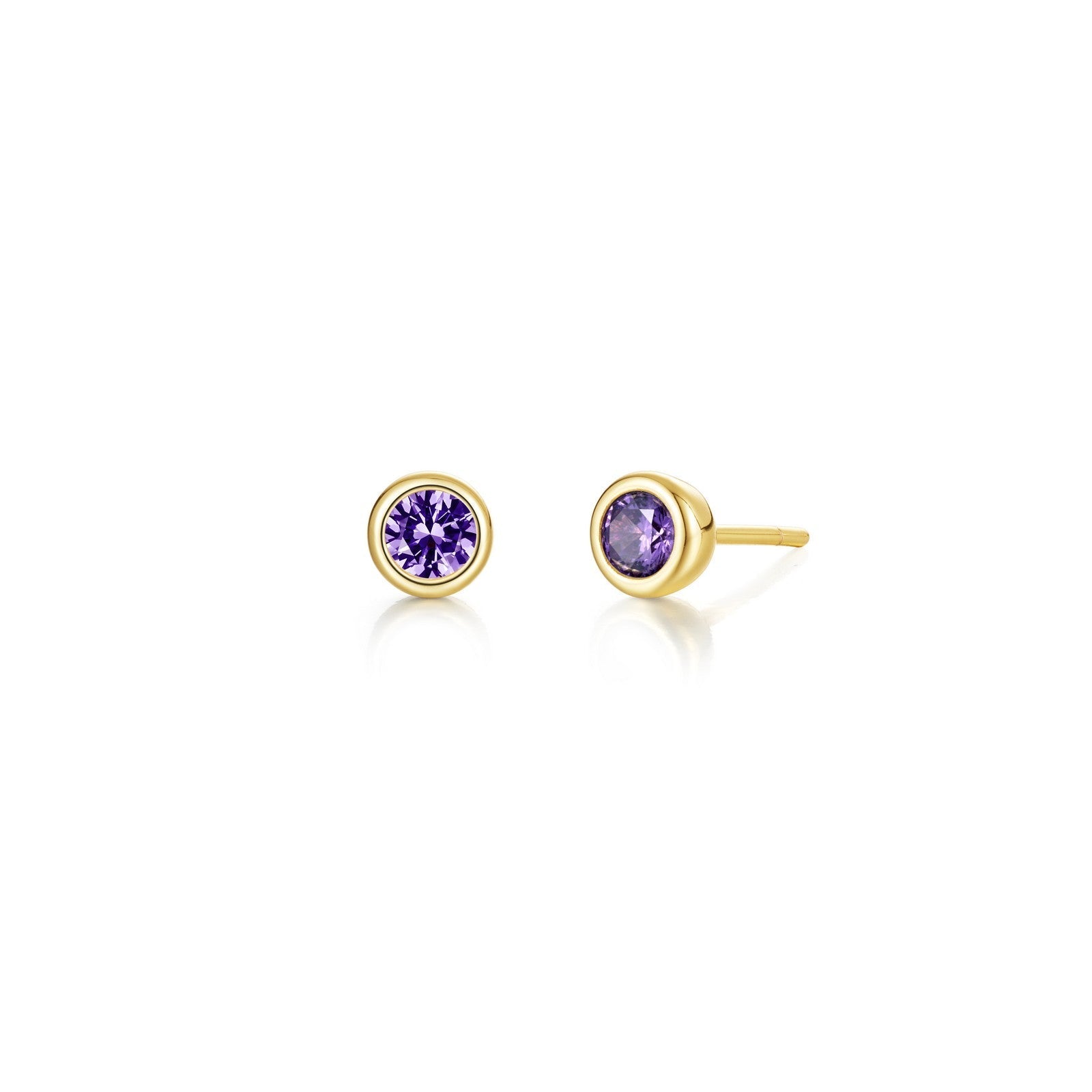 February Birthstone Earrings BE009AMG00