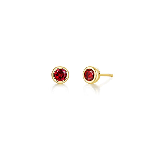 January Birthstone Earrings BE009GNG00