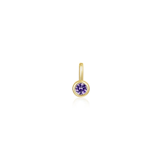 February Birthstone Charm Pendant BP010AMG00