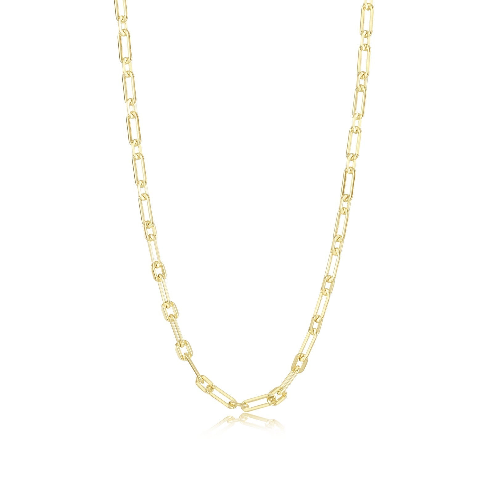 Charlie Small Chain CH00041G20