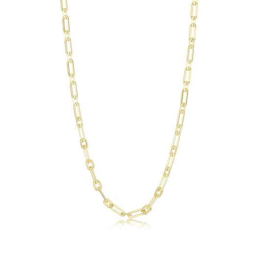 Charlie Small Chain CH00041G20