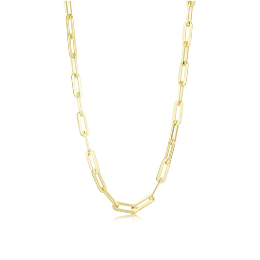 Charlie Large Chain CH00046G20