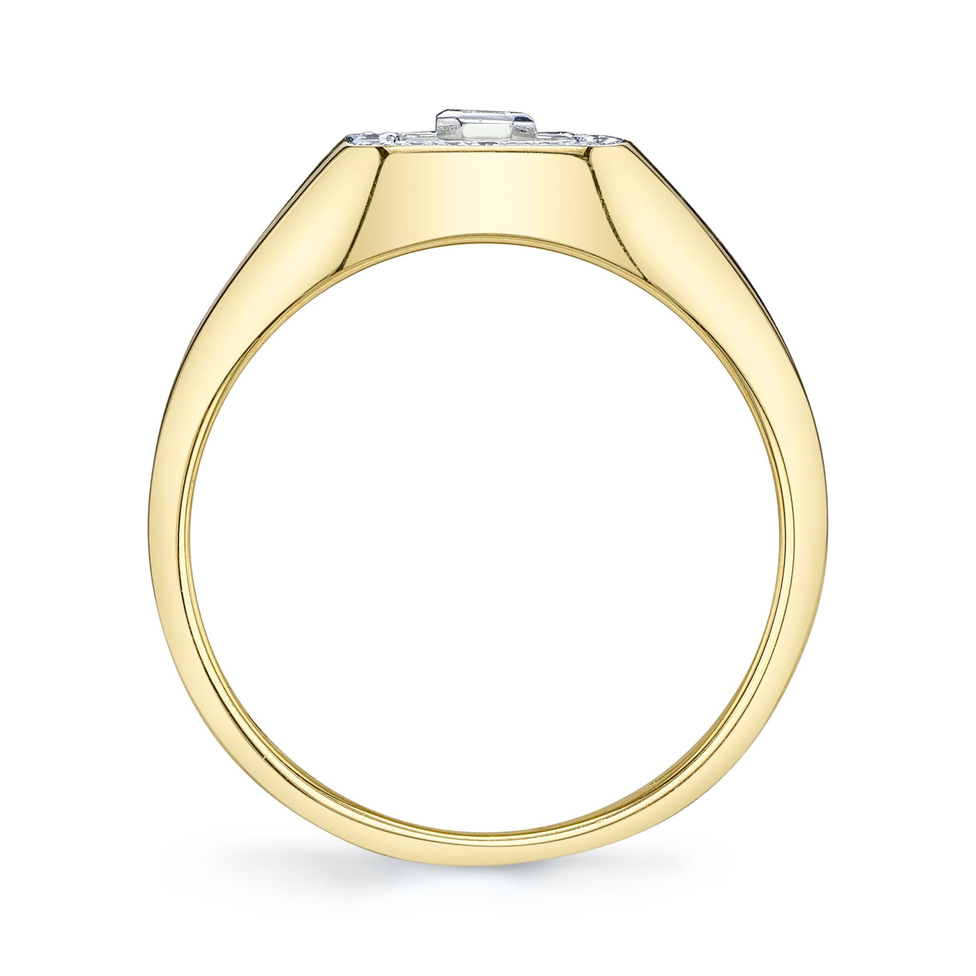 shy-creation-0-17ct-diamond-emerald-bezel-matte-signet-ring-sc22009043v2rd