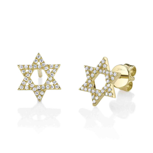 shy-creation-0-16ct-diamond-star-of-david-stud-earring-sc55027650