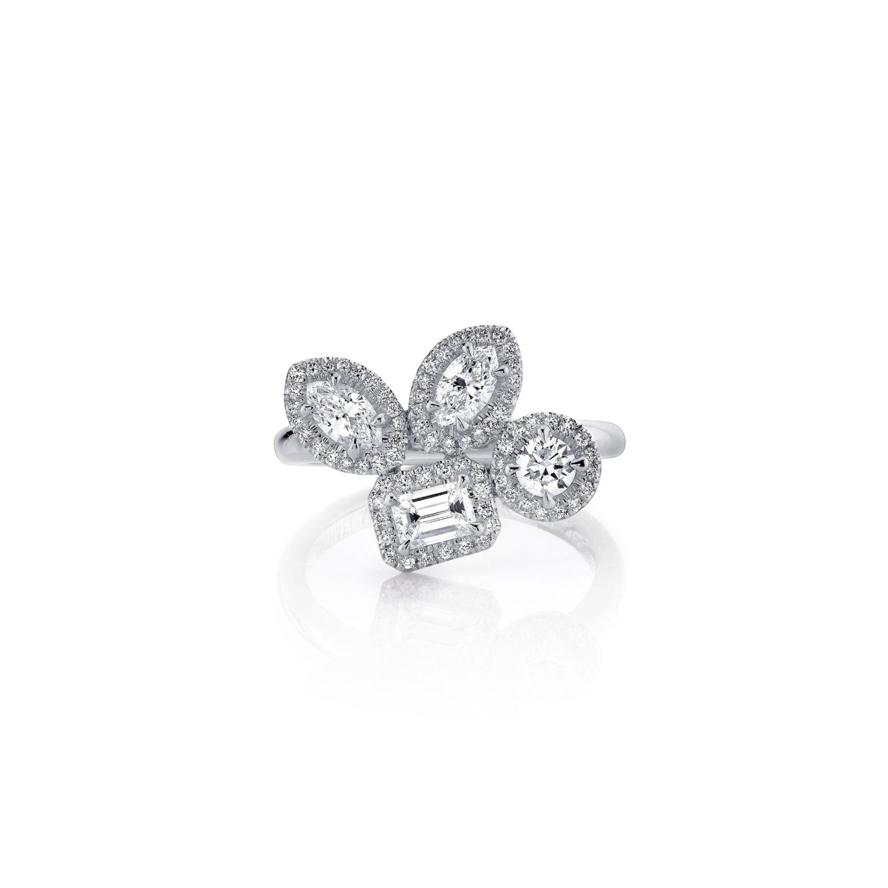 montage-cluster-halo-ring