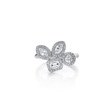 montage-cluster-halo-ring