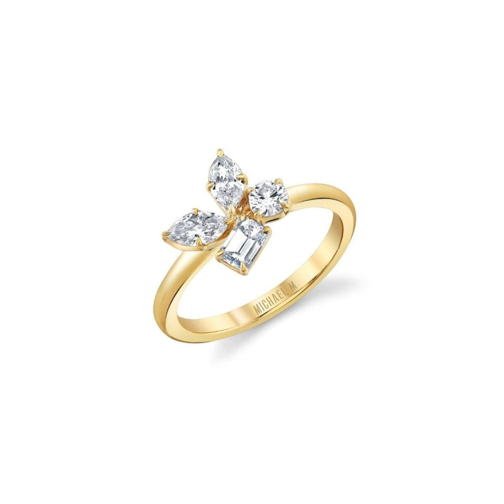 montage-cluster-ring